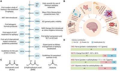 Ketogenic therapy towards precision medicine for brain diseases